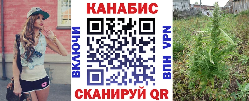 Шишки марихуана семена Купить закладки Богучар